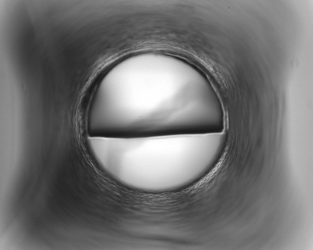 X0000099231501200804241218