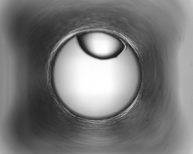 X0000099231502200804241218