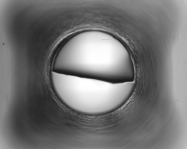 X0000099231503200804241218