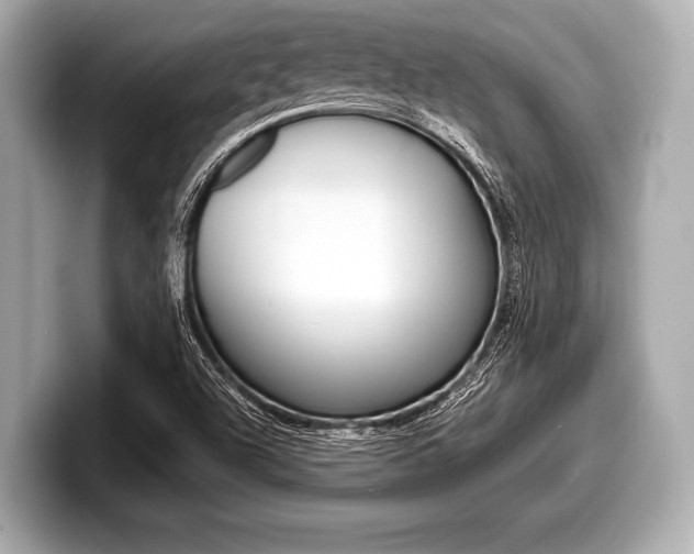 X0000099231504200804241218