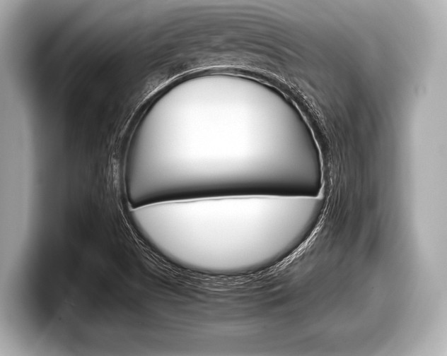 X0000099231505200804241218