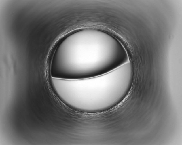 X0000099231506200804241218