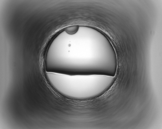 X0000099231507200804241218