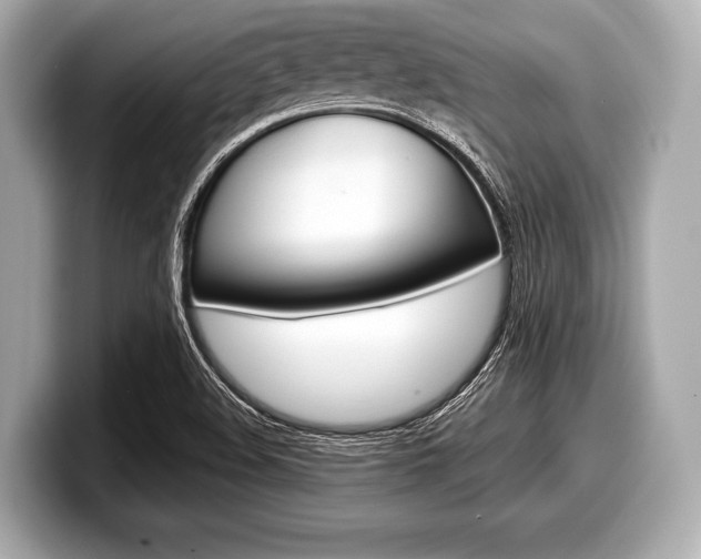 X0000099231508200804241218