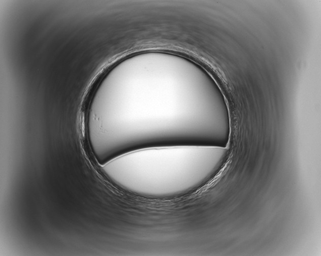 X0000099231509200804241218