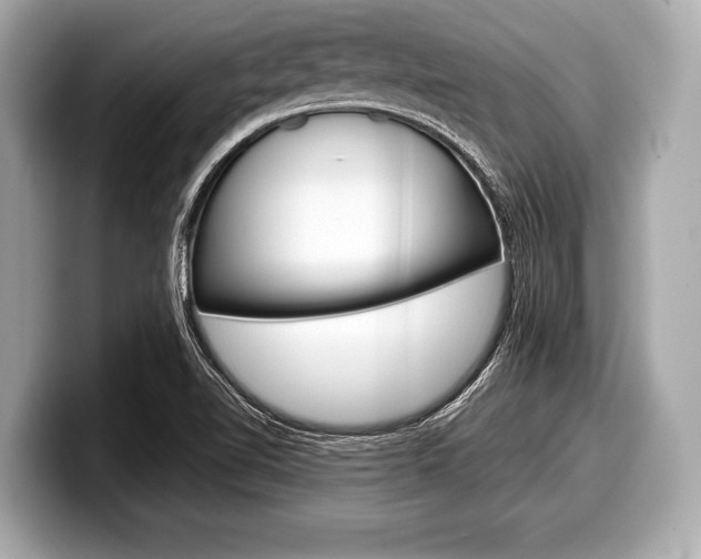 X0000099231510200804241218
