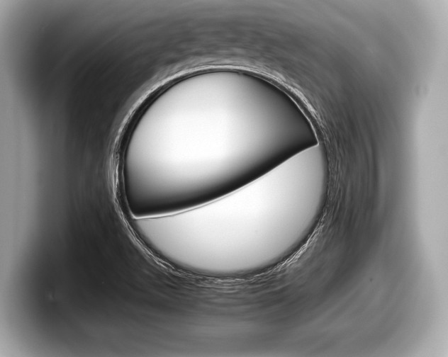 X0000099231511200804241218