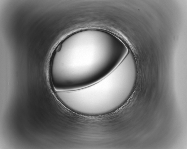 X0000099231512200804241218