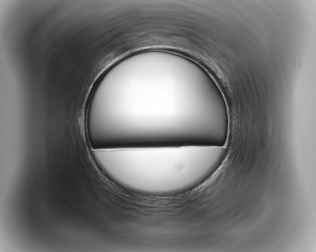 X0000099231513200804241218