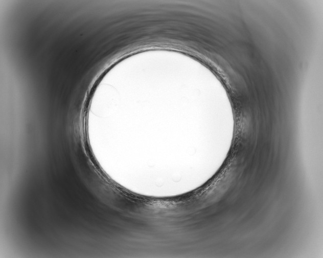 X0000099231514200804241218