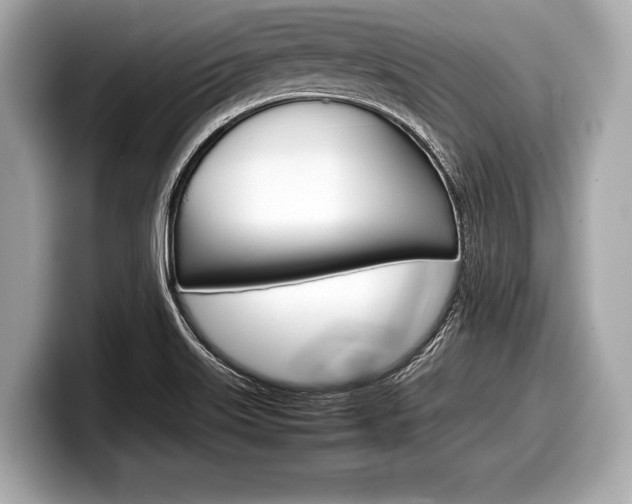 X0000099231515200804241218