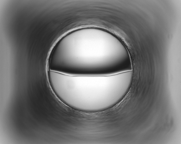 X0000099231516200804241218