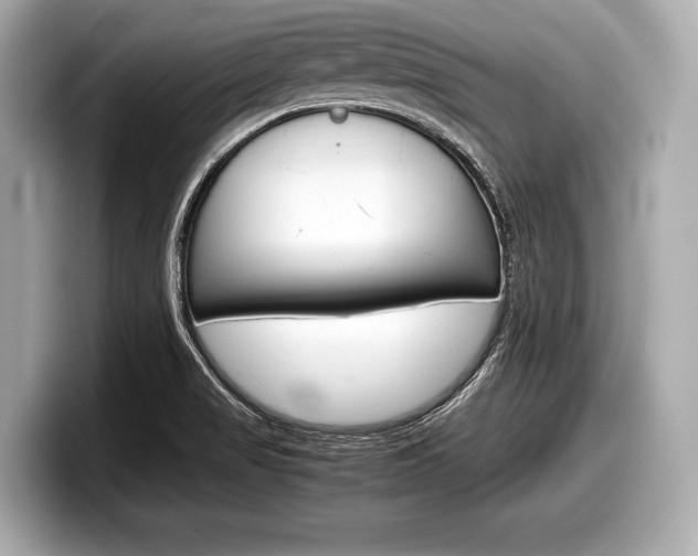 X0000099231517200804241218