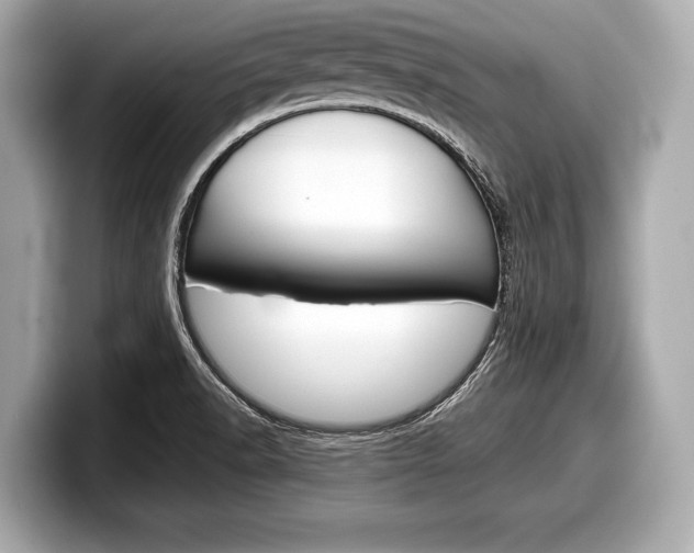 X0000099231518200804241218