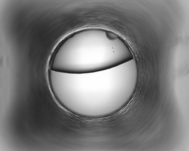 X0000099231519200804241218