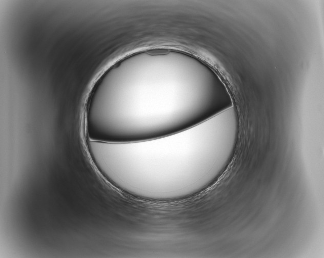 X0000099231520200804241218