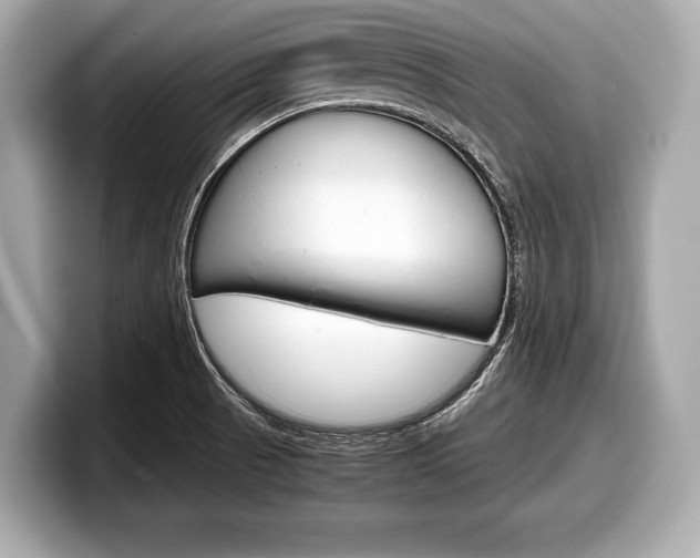 X0000099231521200804241218