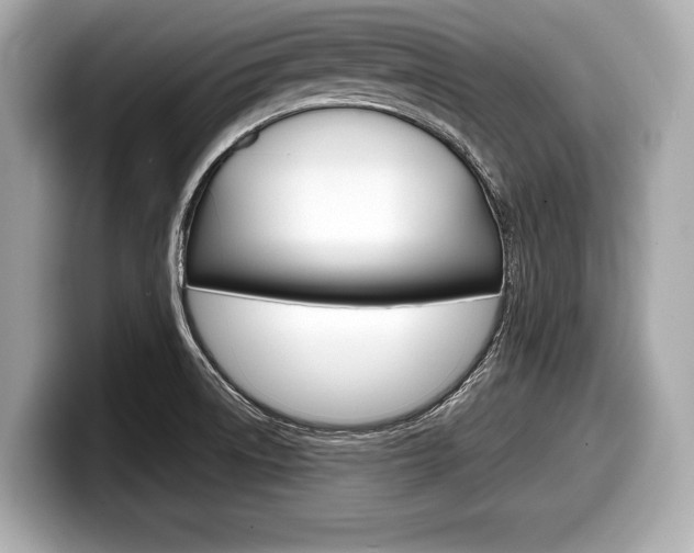 X0000099231522200804241218