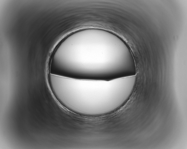 X0000099231523200804241219
