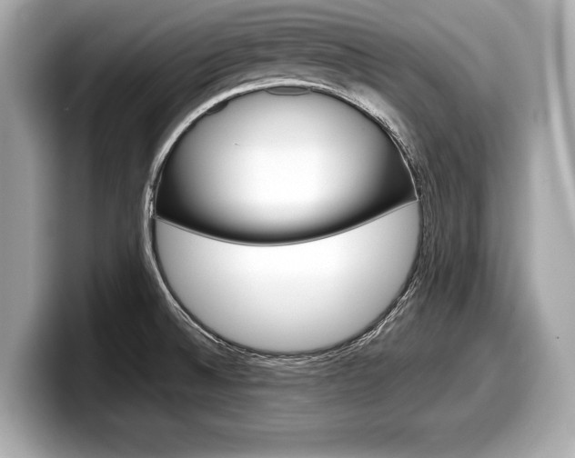 X0000099231524200804241219