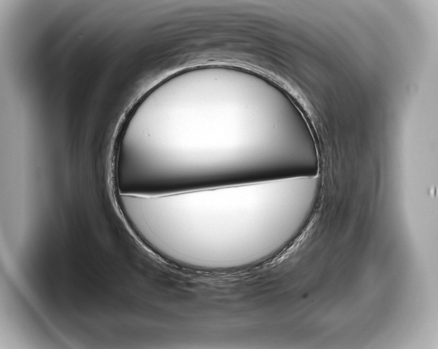 X0000099231525200804241219