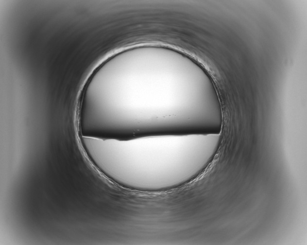 X0000099231526200804241219