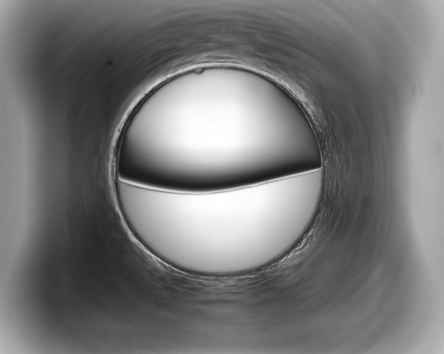 X0000099231527200804241219
