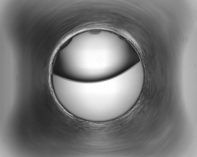 X0000099231528200804241219
