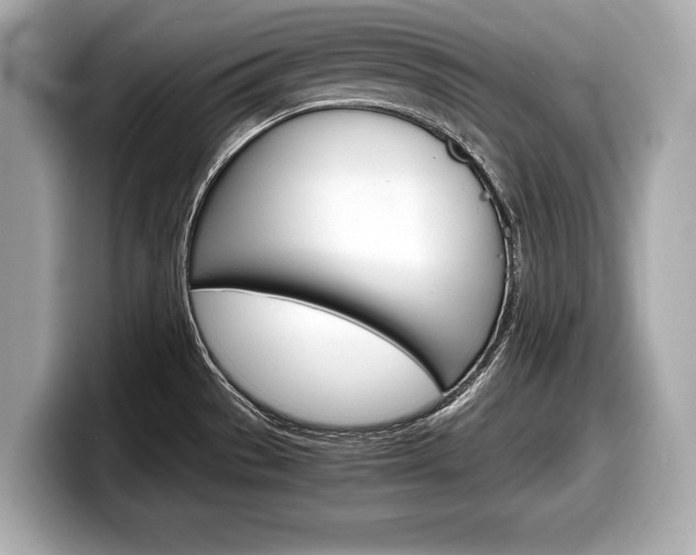 X0000099231529200804241219