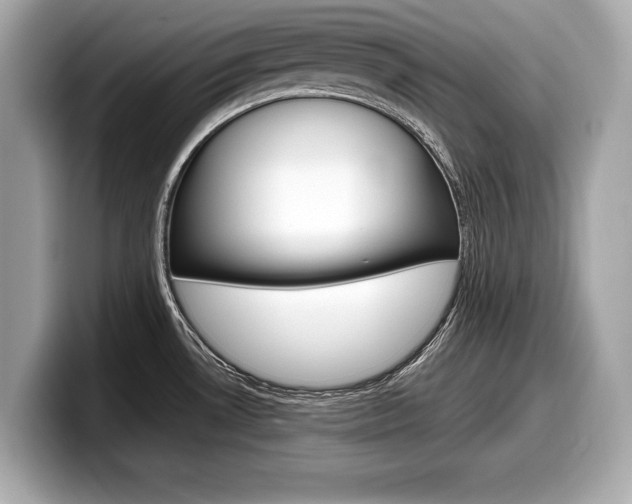 X0000099231530200804241219