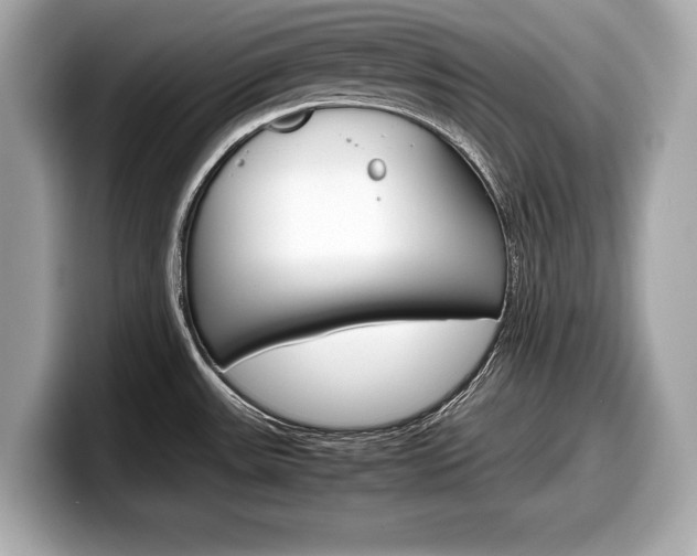 X0000099231531200804241219