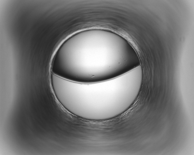 X0000099231532200804241219