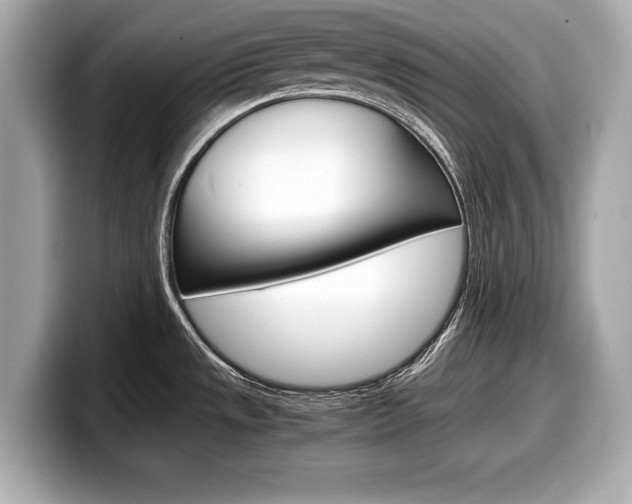 X0000099231533200804241219
