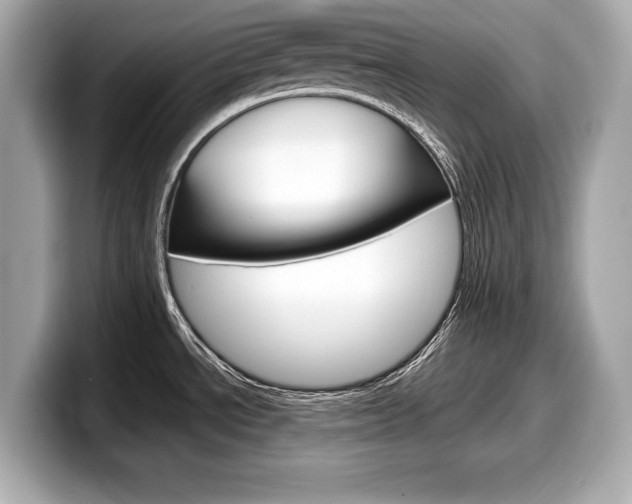 X0000099231534200804241219