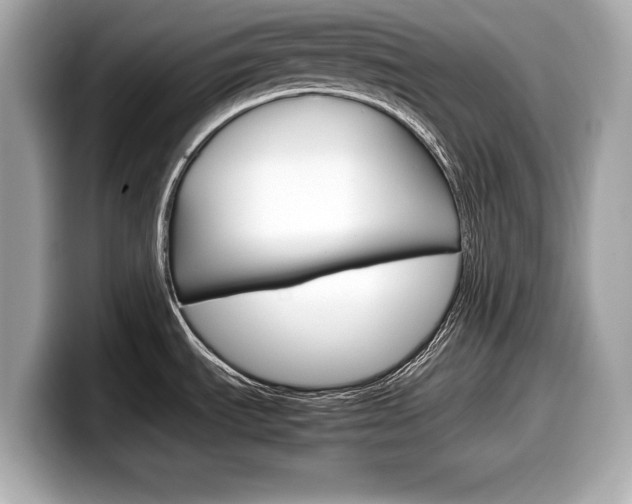 X0000099231535200804241219