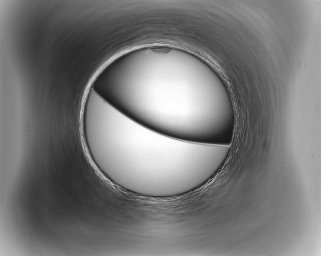 X0000099231536200804241219