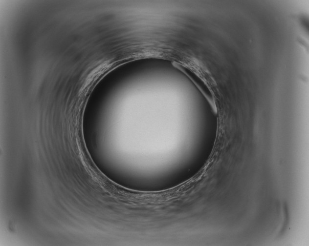 X0000099230001200804241502