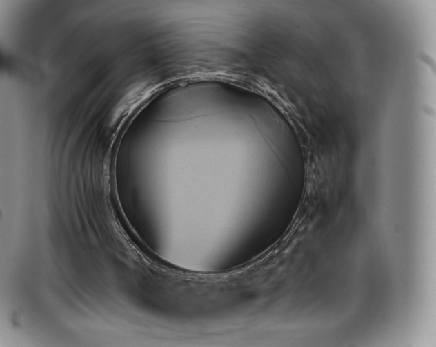 X0000099230002200804241502