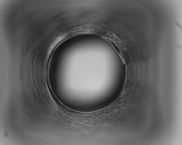 X0000099230003200804241502