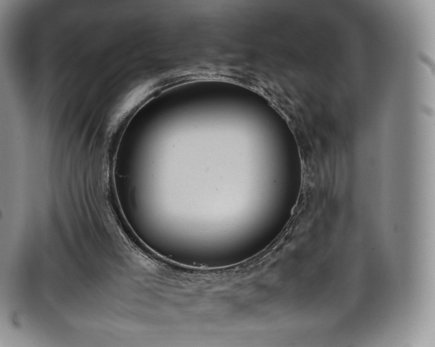 X0000099230005200804241502