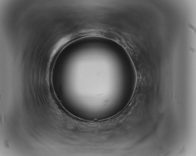 X0000099230006200804241502