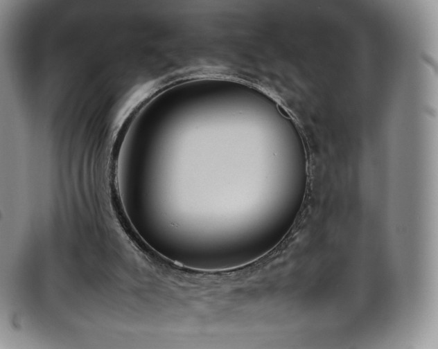 X0000099230007200804241502