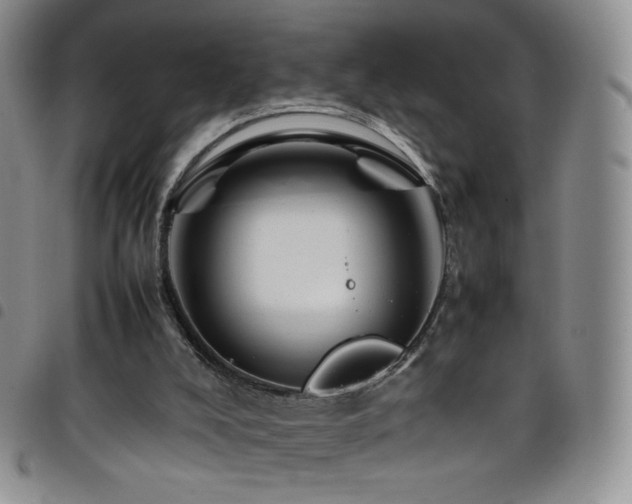 X0000099230008200804241502