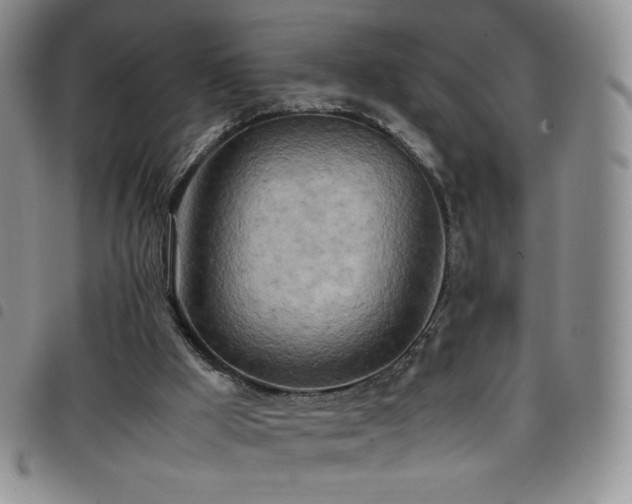 X0000099230009200804241502