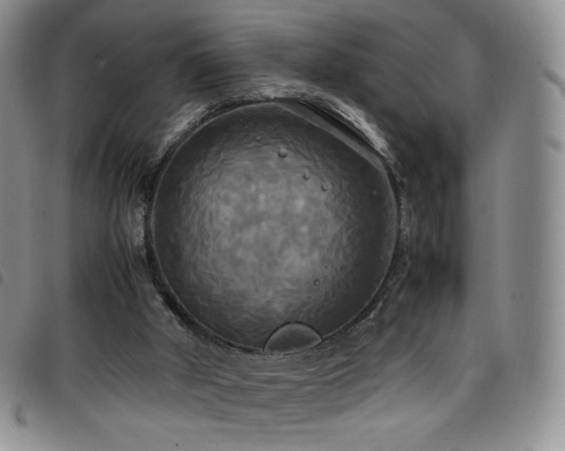 X0000099230010200804241502