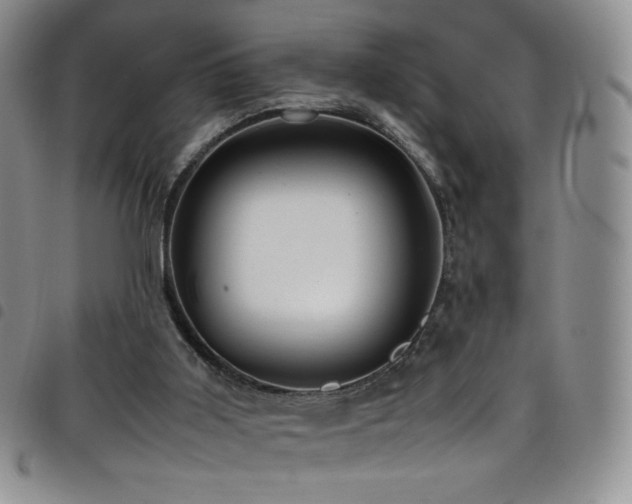 X0000099230011200804241502