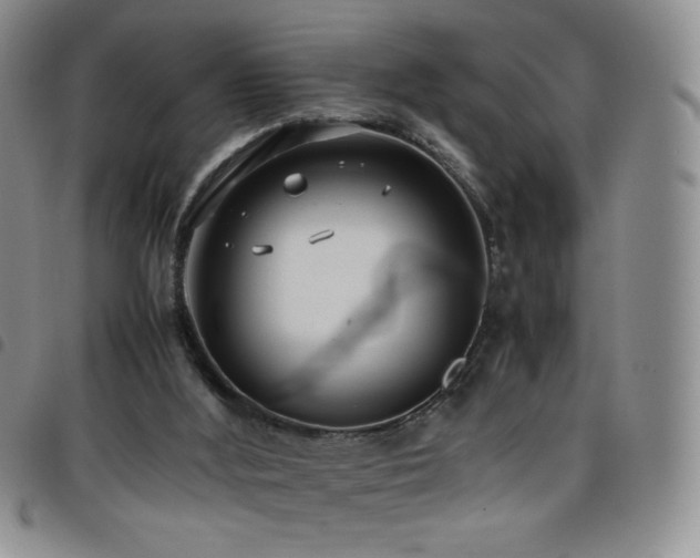 X0000099230012200804241502