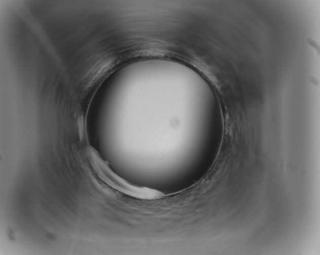 X0000099230013200804241502