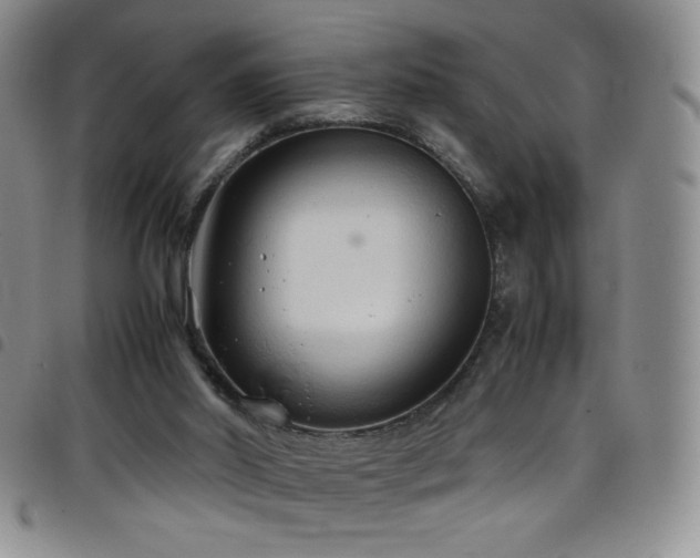 X0000099230014200804241502