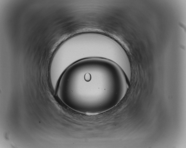 X0000099230015200804241502